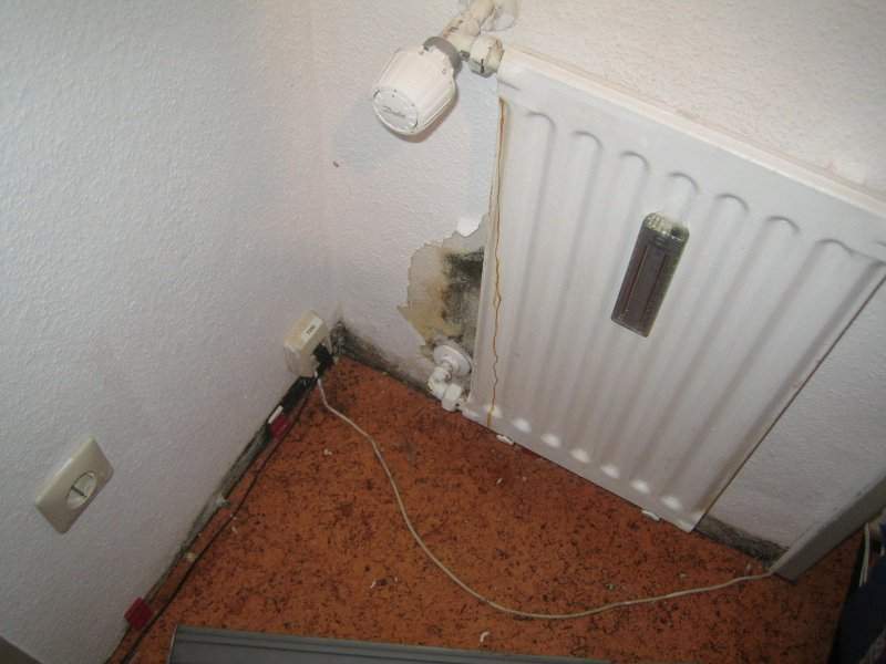 Schimmel hinter Heizung entdeckt, wie schlimm ist es? (Einzug)