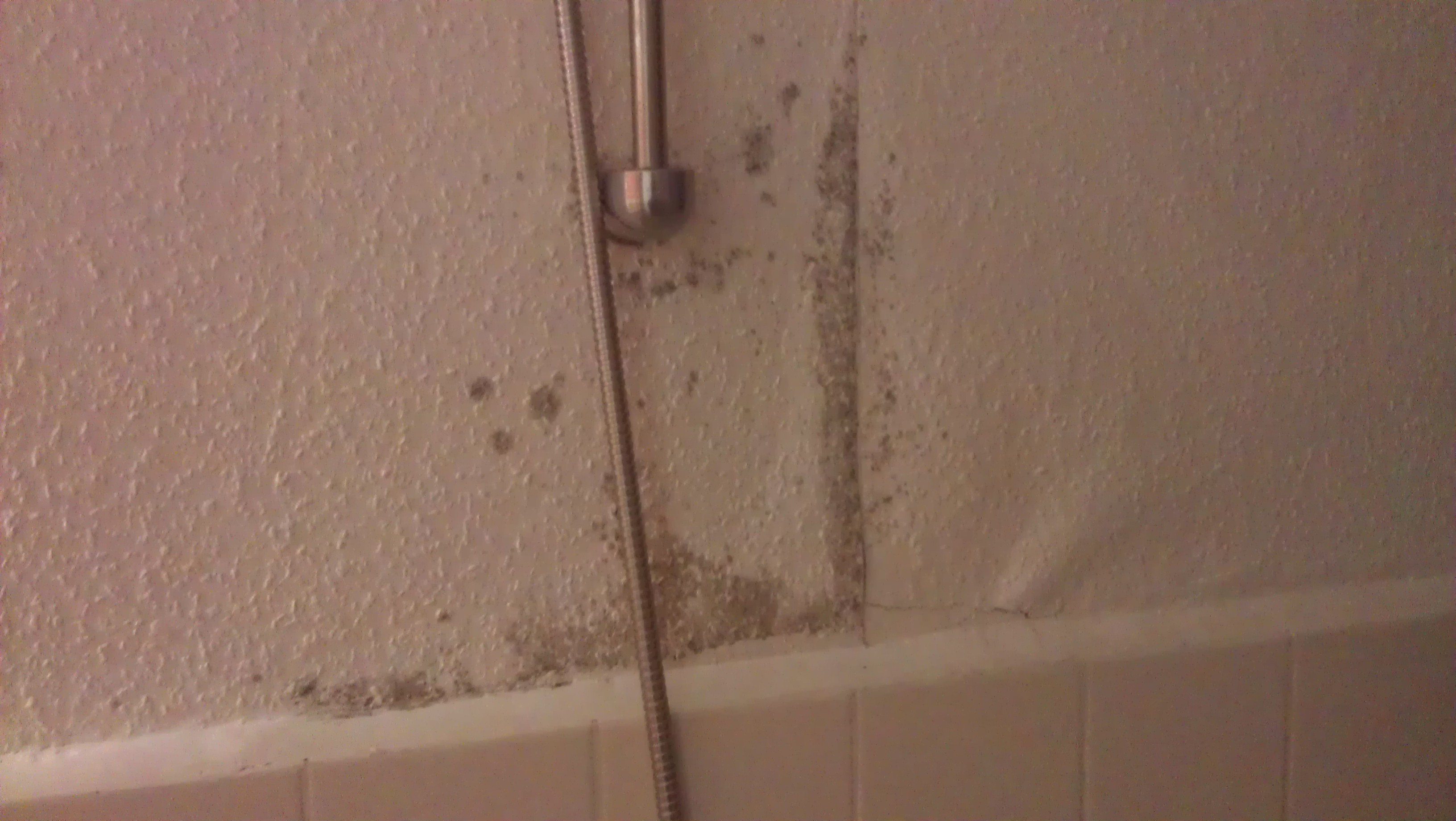 Schimmel im Bad: Dusche tapeziert (Wer zahlt?) (Mietrecht