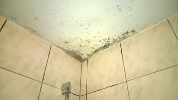 Schimmel Im Bad Uber Der Dusche Luftung