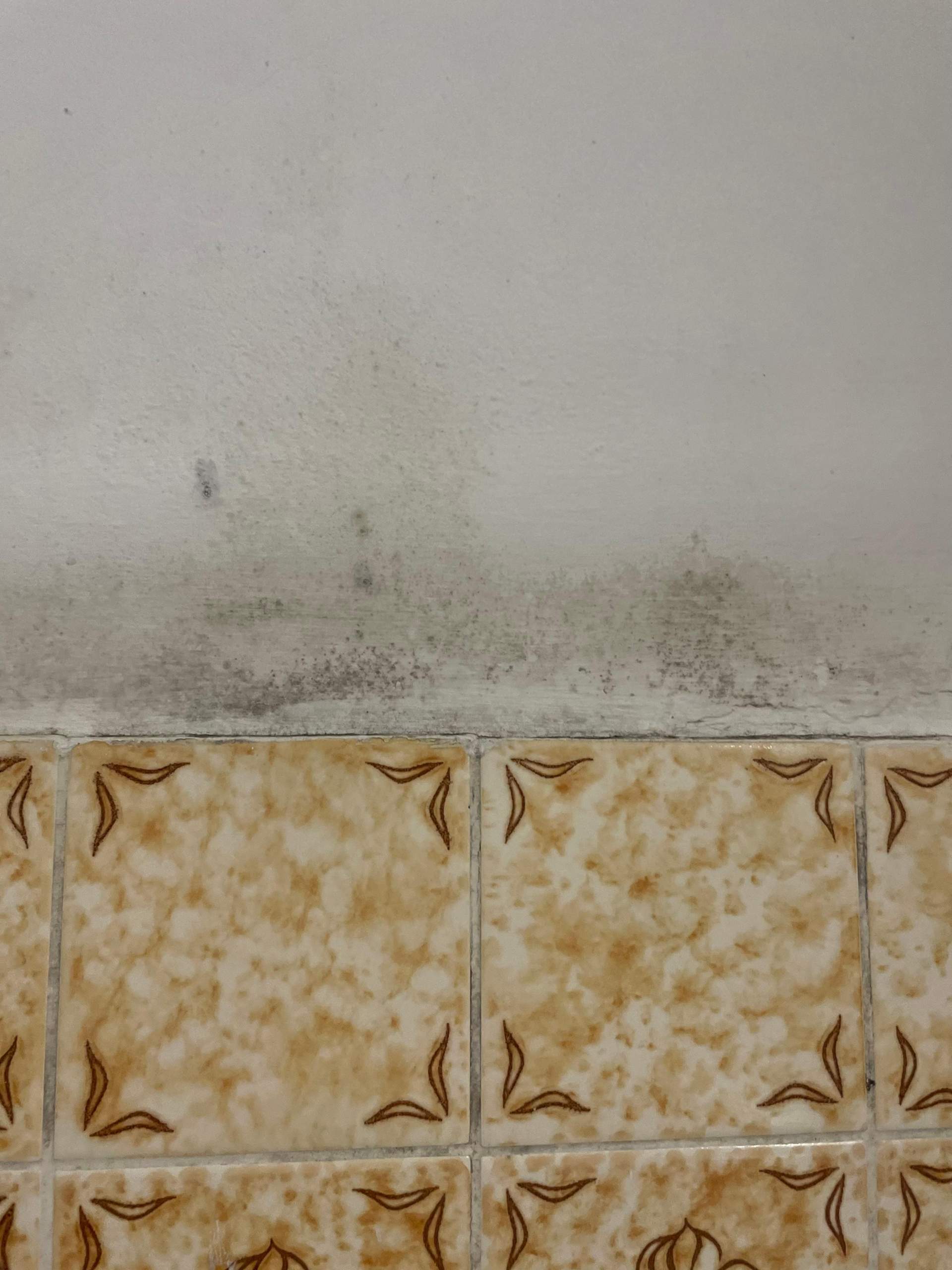 Schimmel im Bad, wie bekomme ich die weg? (Gesundheit, Wohnung, Haus)