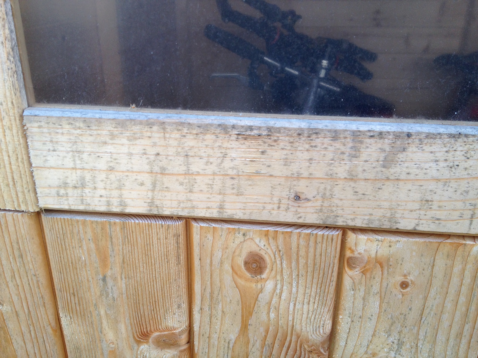 Schimmel im Gartenhaus (Garten, Holz)