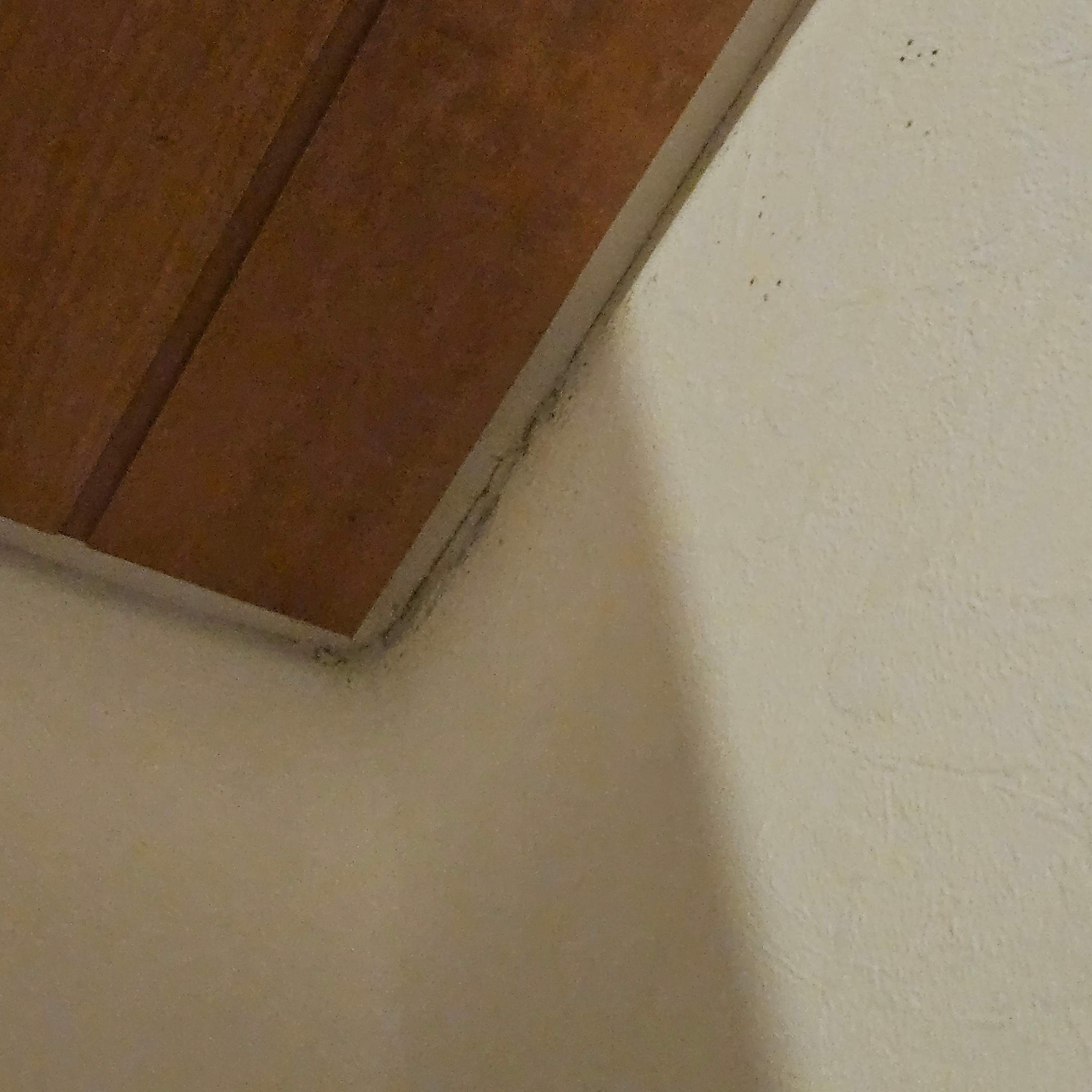 Schimmel im Schlafzimmer? (Wohnung, Wand, Feuchtigkeit)