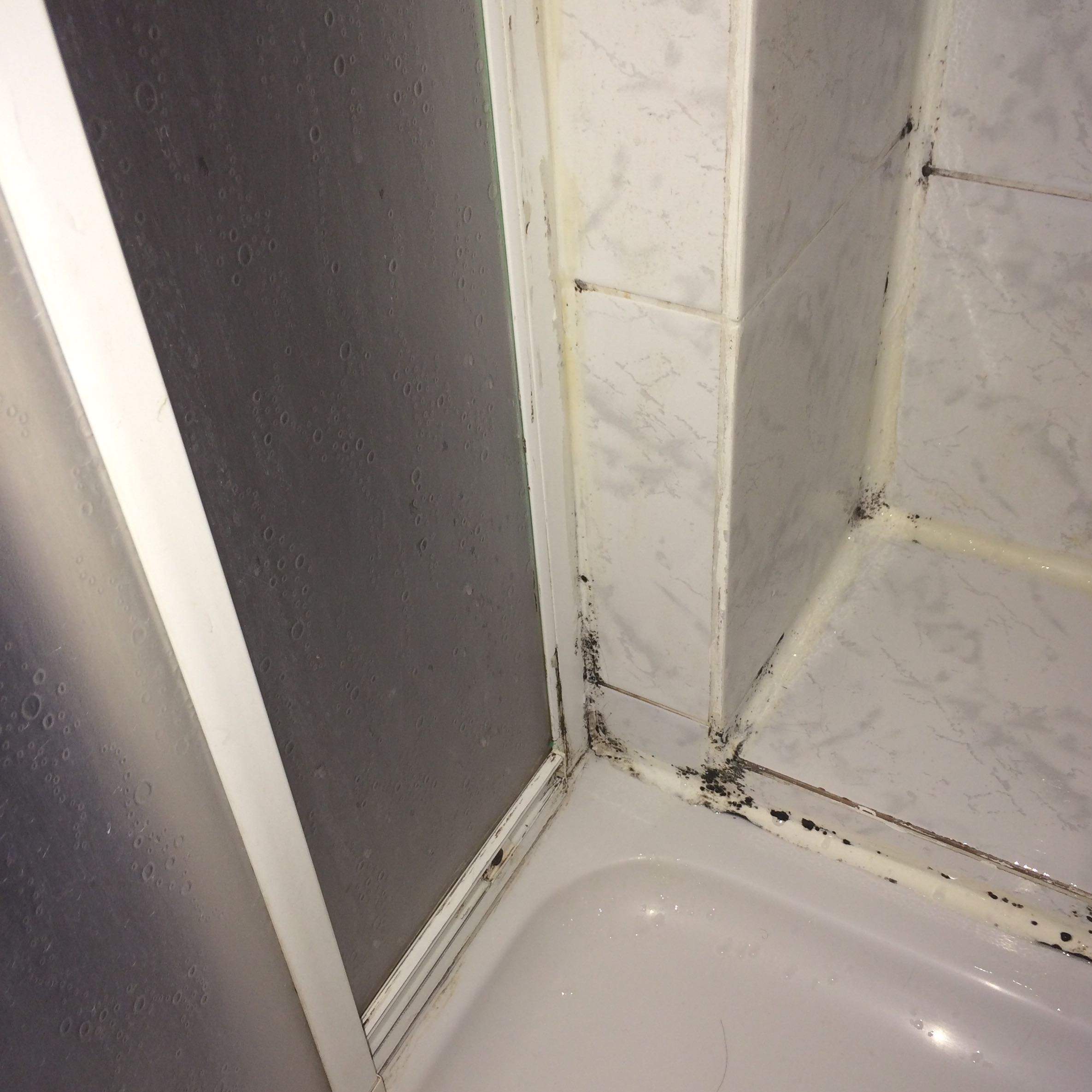 Schimmel in der Dusche. Wie schlimm ist es? (gesundheitsschaedlich)