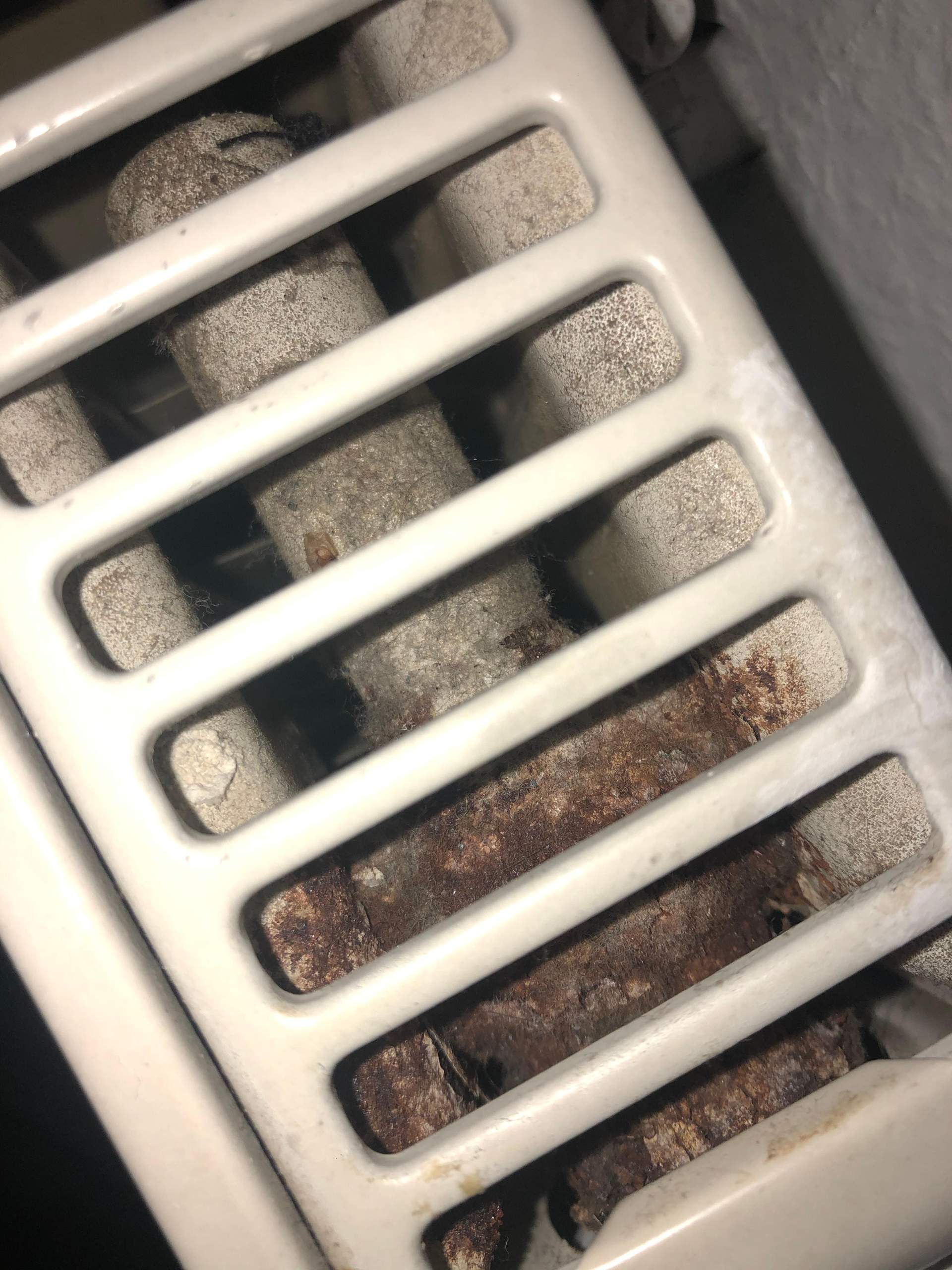 Schimmel in der Heizung? (Wohnung)