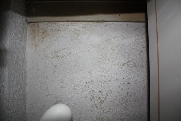 Schimmel In Der Kuche Auf Dem Rauputz In Der Mietwohnung Handwerk
