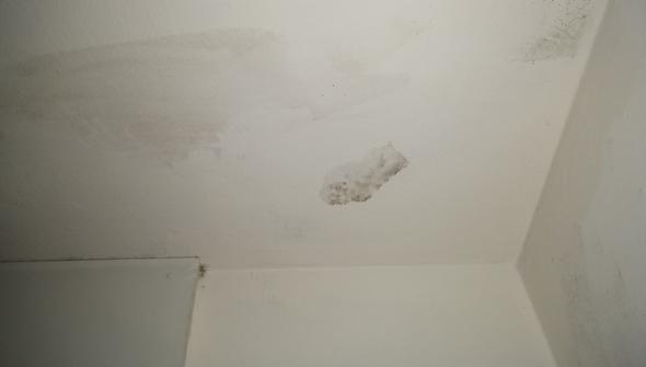 Schimmel In Der Neuen Wohnung Ist Dieser Schimmel Schlimm Neue Wohnung