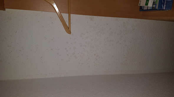 Schimmel In Der Wohnung Feuchtigkeit Flecken Schlafzimmer Gelbe Flecken