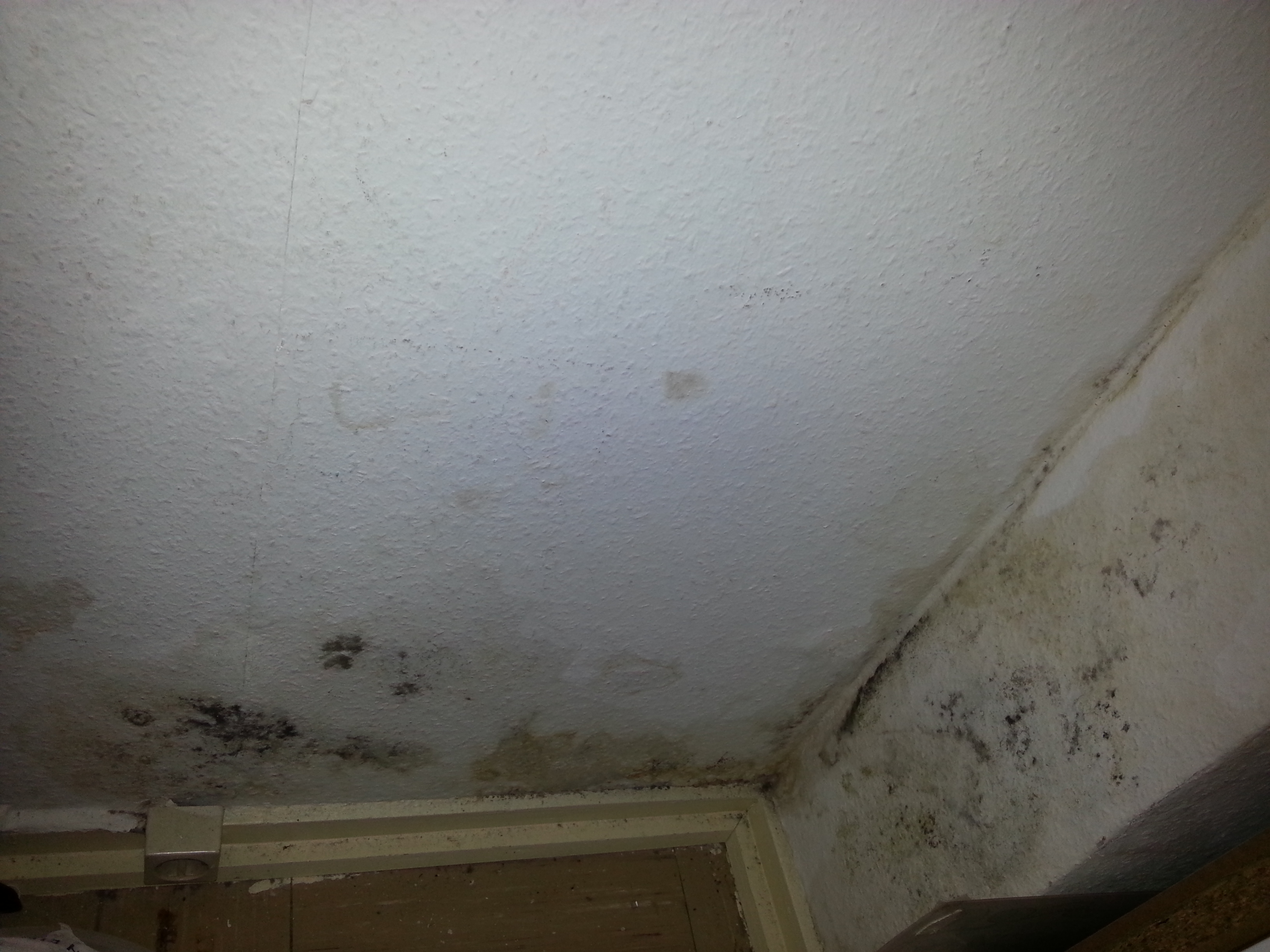 Schimmel In Fugen Und Durch Die Wand Mietrecht Miete Vermietung