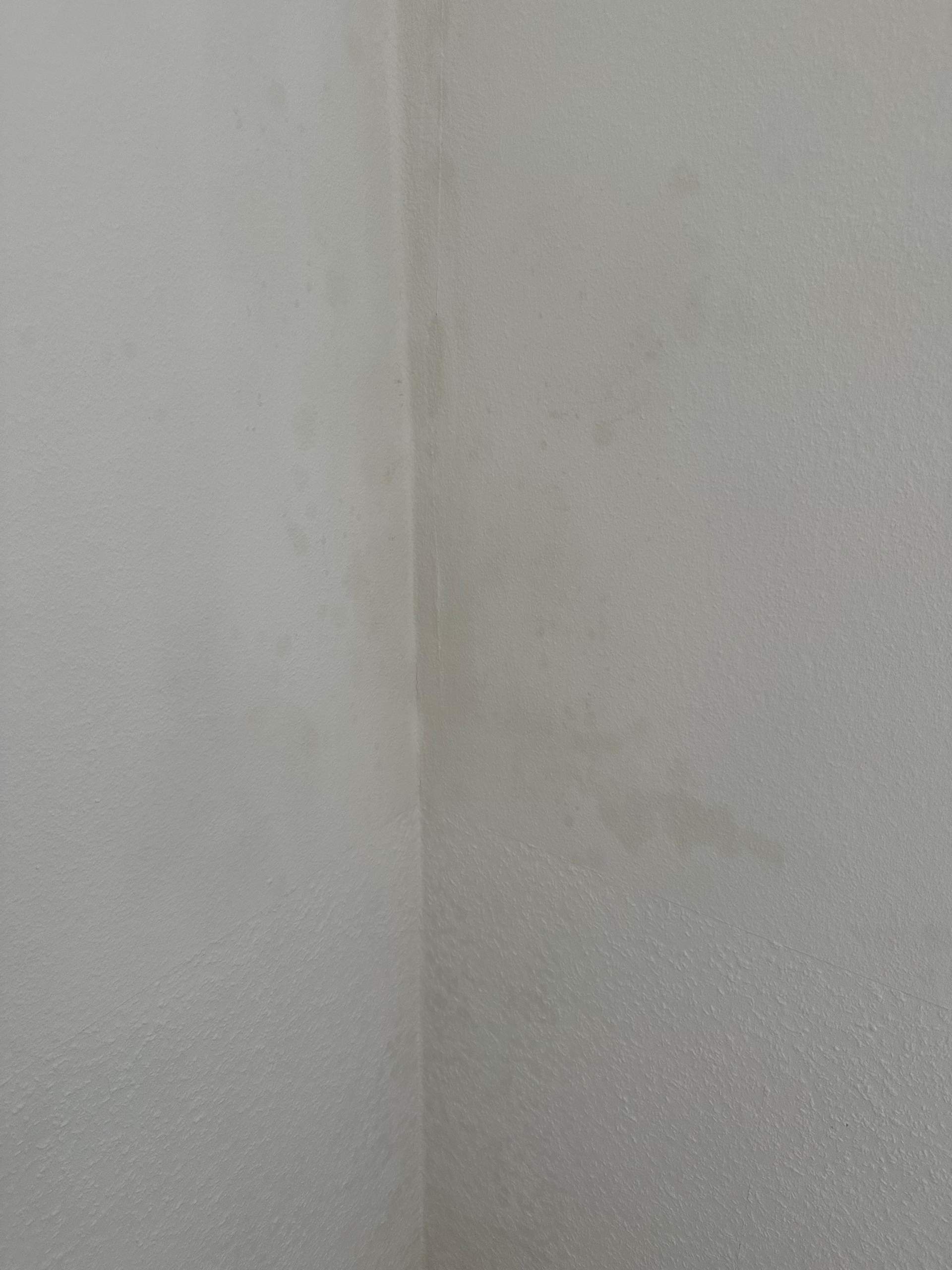 Graue Flecken An Der Wand