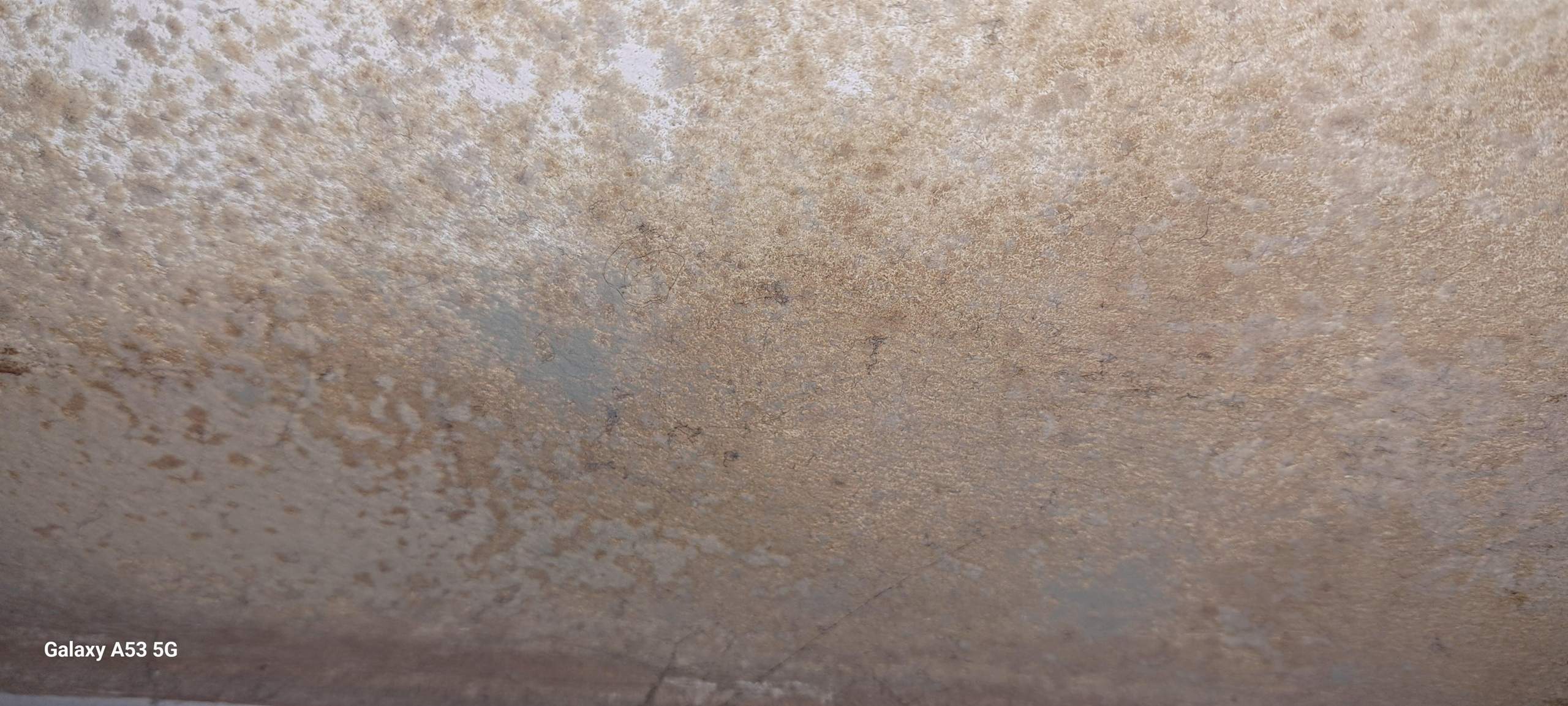 Schimmelgeruch Aber Kein Schimmel Zu Sehennull