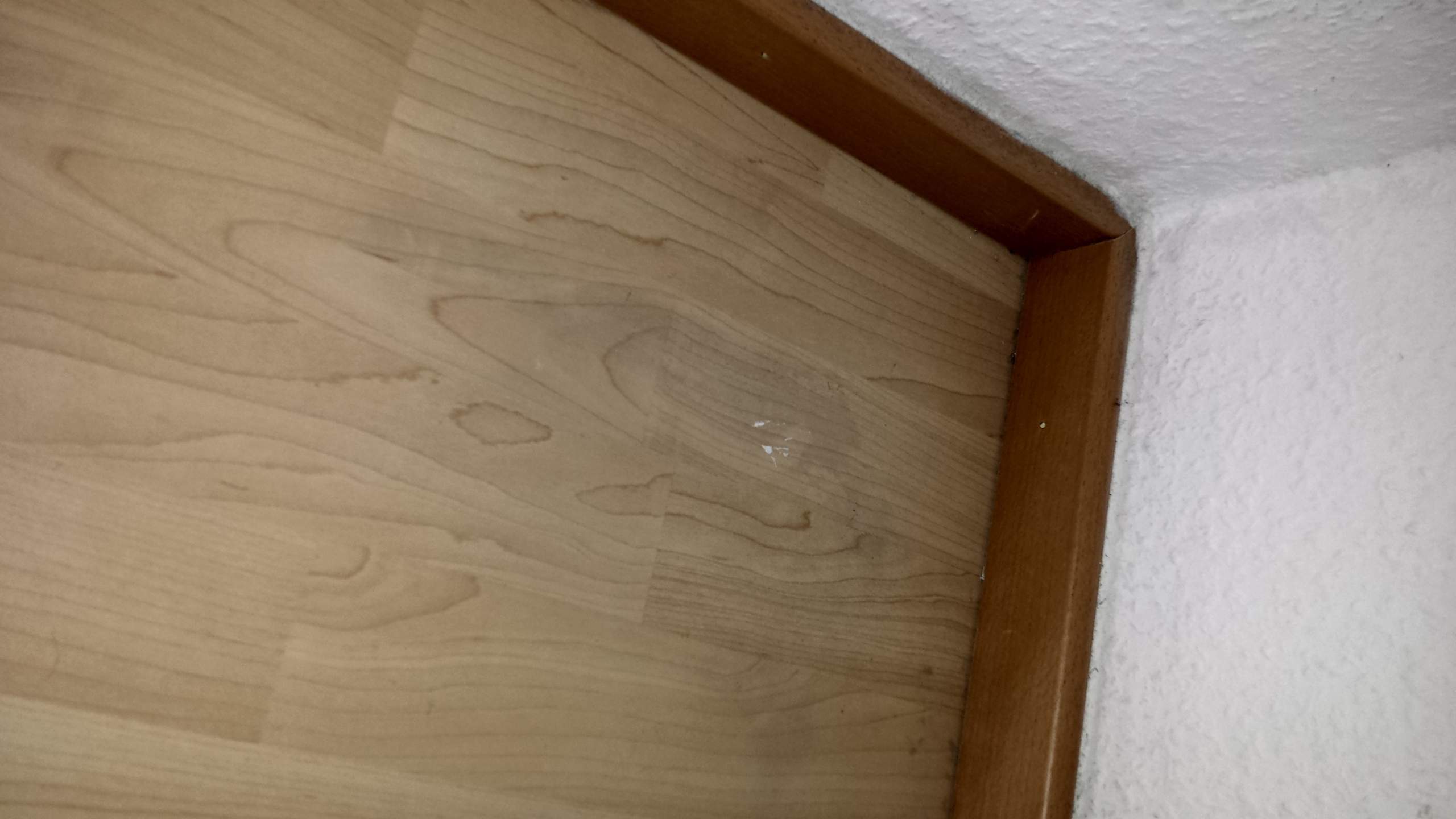 Schimmel Unter Laminat