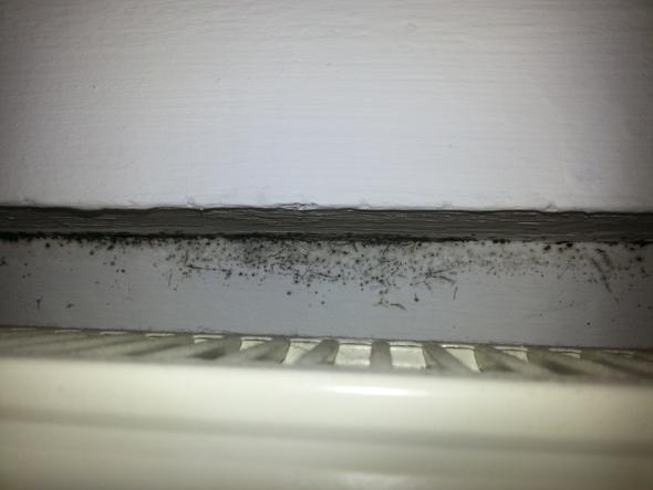 Schimmel Unter Der Fensterbank Wohnen Schlafzimmer