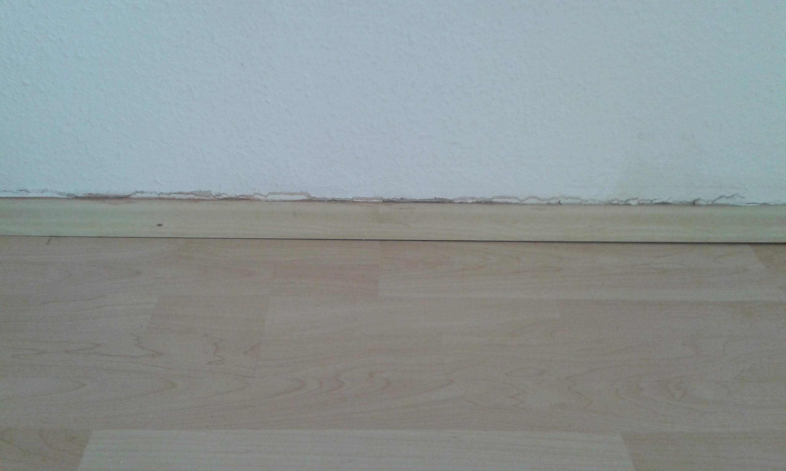 Schimmel Unter Laminat