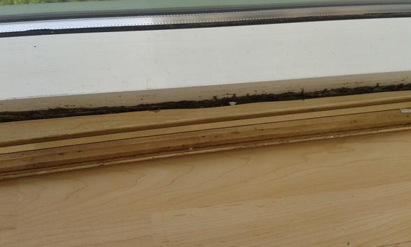 Dampfsperre unter laminat altbau Dampfsperre unter laminat altbau