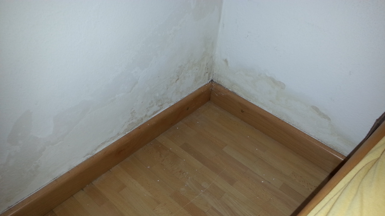 Schimmelbildung, trotz trockener Wand? (Wohnung, Schimmel, Feuchtigkeit)