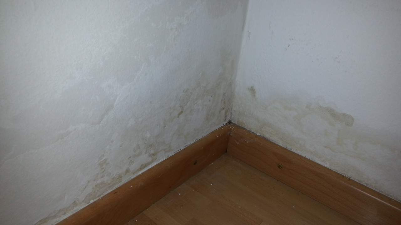 Schimmelbildung, trotz trockener Wand? (Wohnung, Schimmel, Feuchtigkeit)