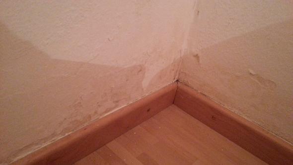 Schimmelbildung Trotz Trockener Wand Wohnung Schimmel Feuchtigkeit