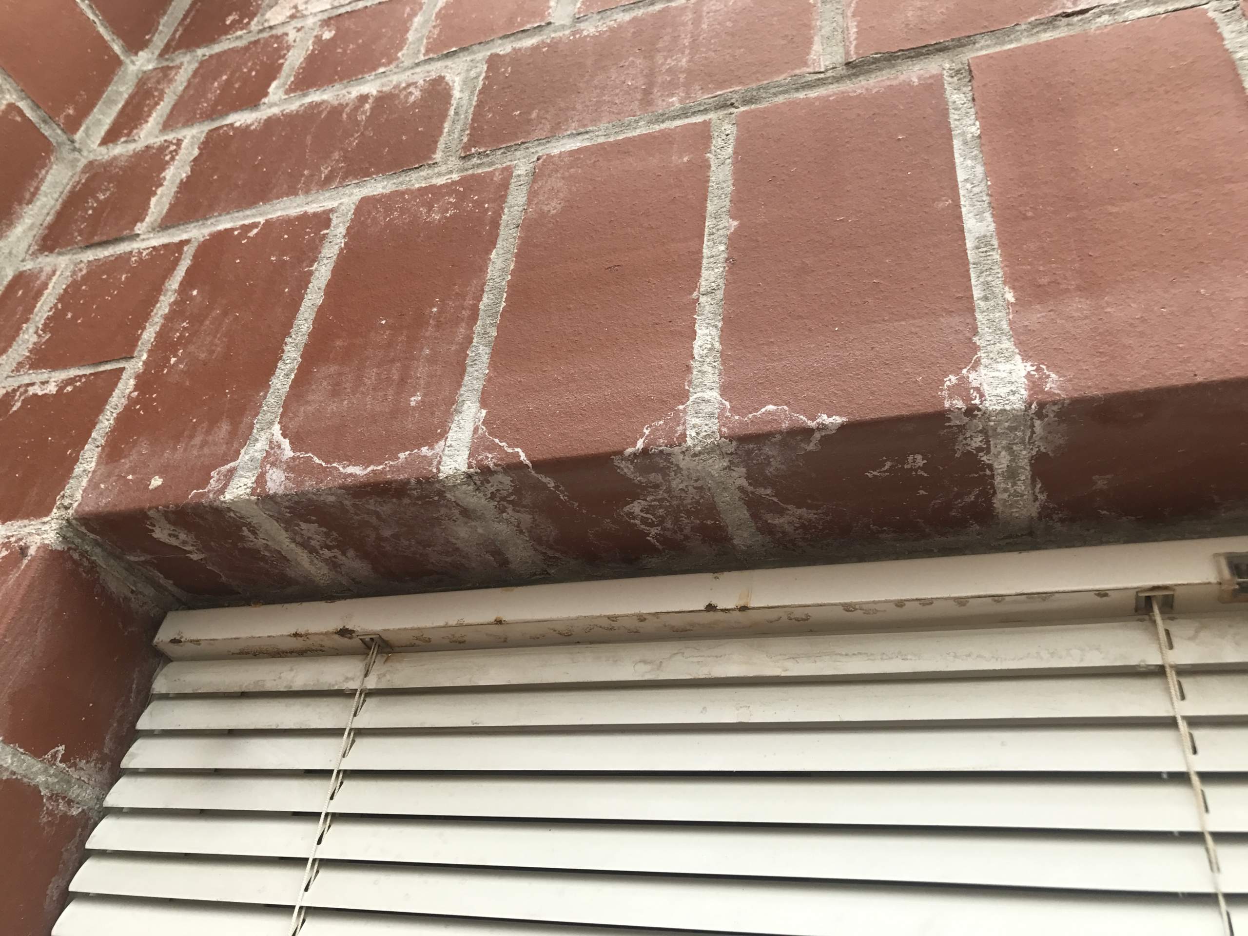 Schimmele Fall im Wintergarten/Balkon gefährlich? (Schimmel)
