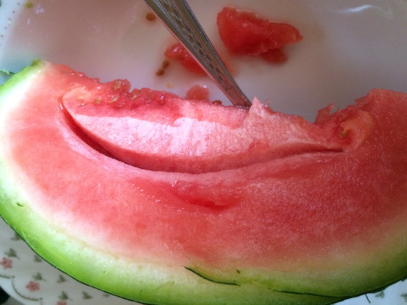 schimmlige meloni? - (Schimmel, Melone)