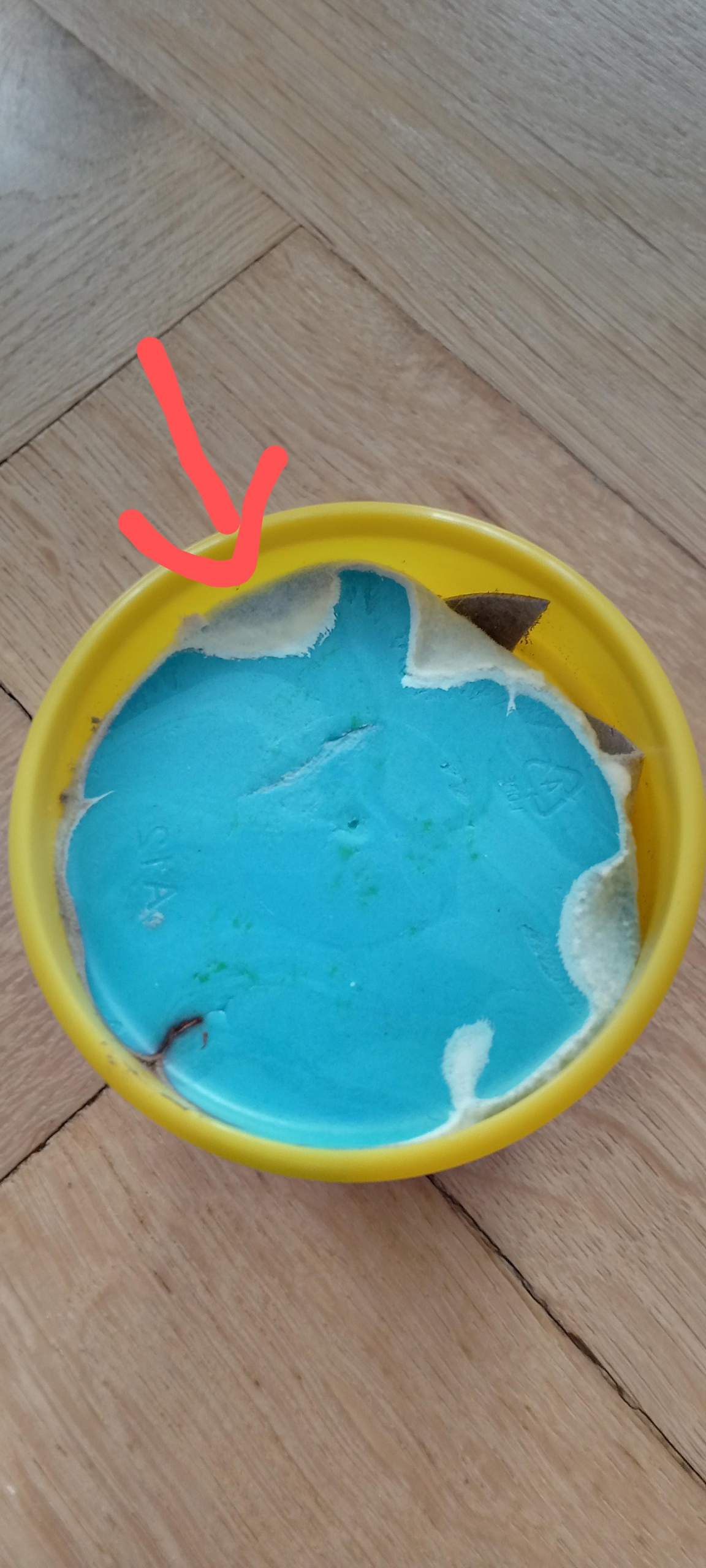 Schimmelt meine Knete? (Schimmel)
