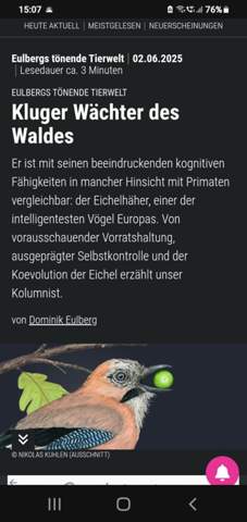 Bild zum Beitrag