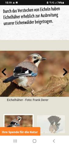 Bild zum Beitrag
