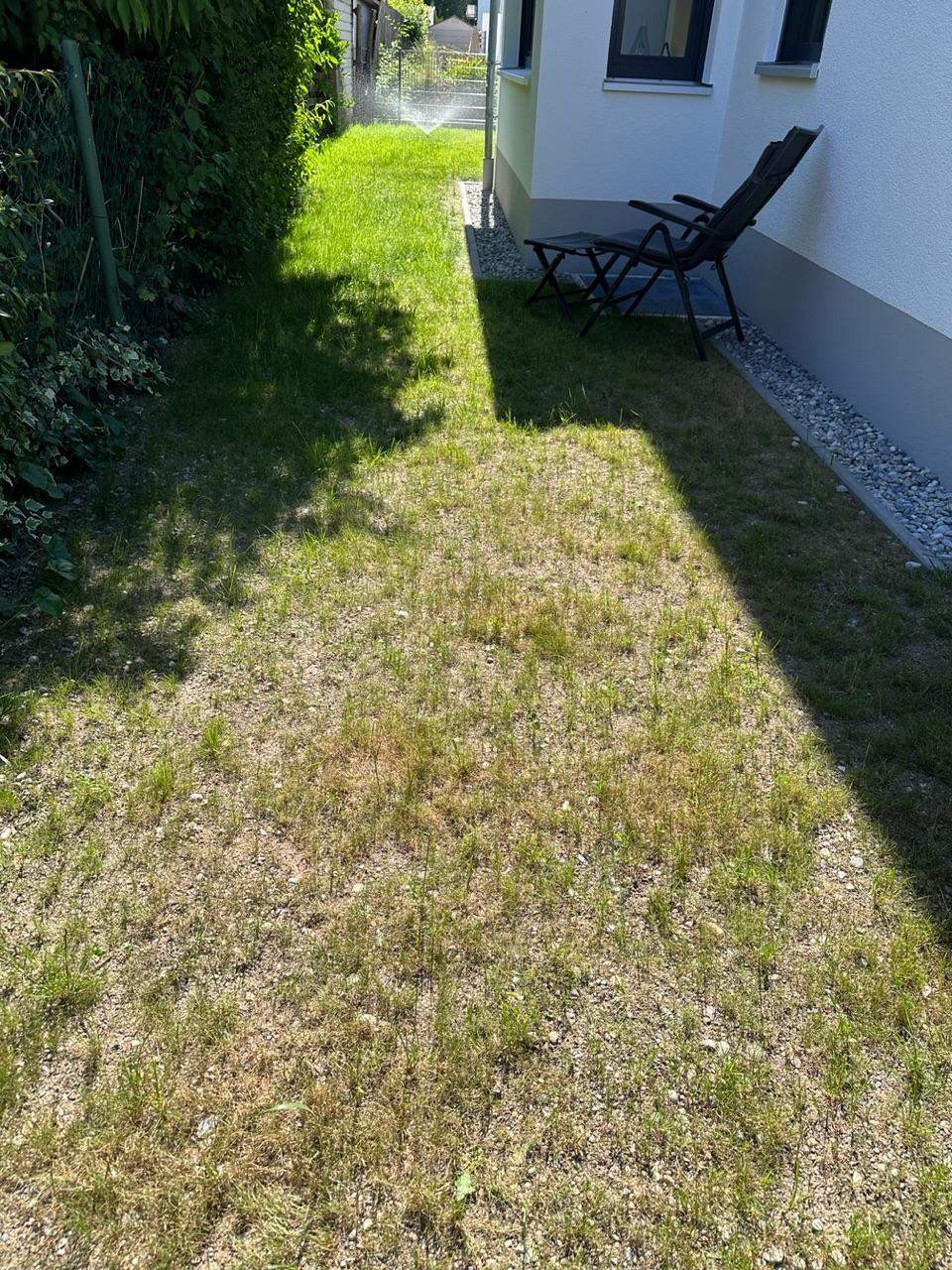 Schlechten rasen retten? (Erde, Gras, Gärtner)
