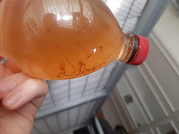 Schleimige Faden In Energy Drink Gesundheit Und Medizin Gesundheit Medikamente