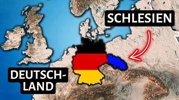 Bild zum Beitrag