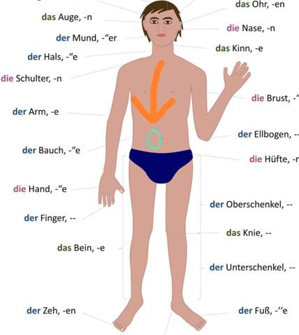 Schmerzen Neben Meinem Bauchnabel Gesundheit Und Medizin Medizin Krankenhaus Schmerzen Neben Meinem Bauchnabel Gesundheit Und Medizin Medizin Krankenhaus