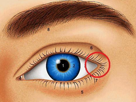 Schmerzen Am Ende Des Auges Arzt Augen Schmerzen Am Ende Des Auges Arzt Augen