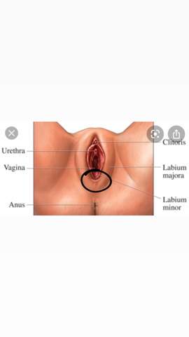 Schmerzen Beim Sex Gesundheit Und Medizin Schmerzen Beim Sex Gesundheit Und Medizin