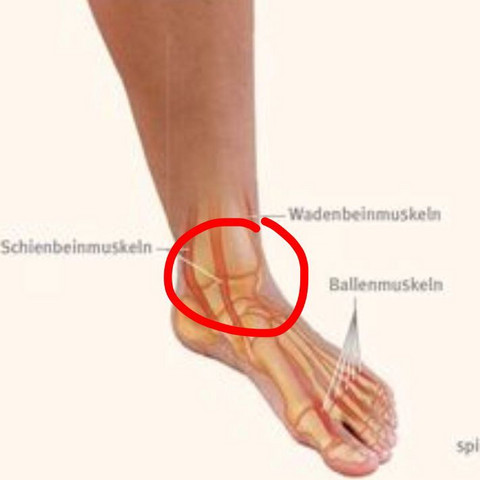 Schmerzen Beim Sprunggelenk Vorne Gesundheit Und Medizin Sport Fussball Schmerzen Beim Sprunggelenk Vorne Gesundheit Und Medizin Sport Fussball