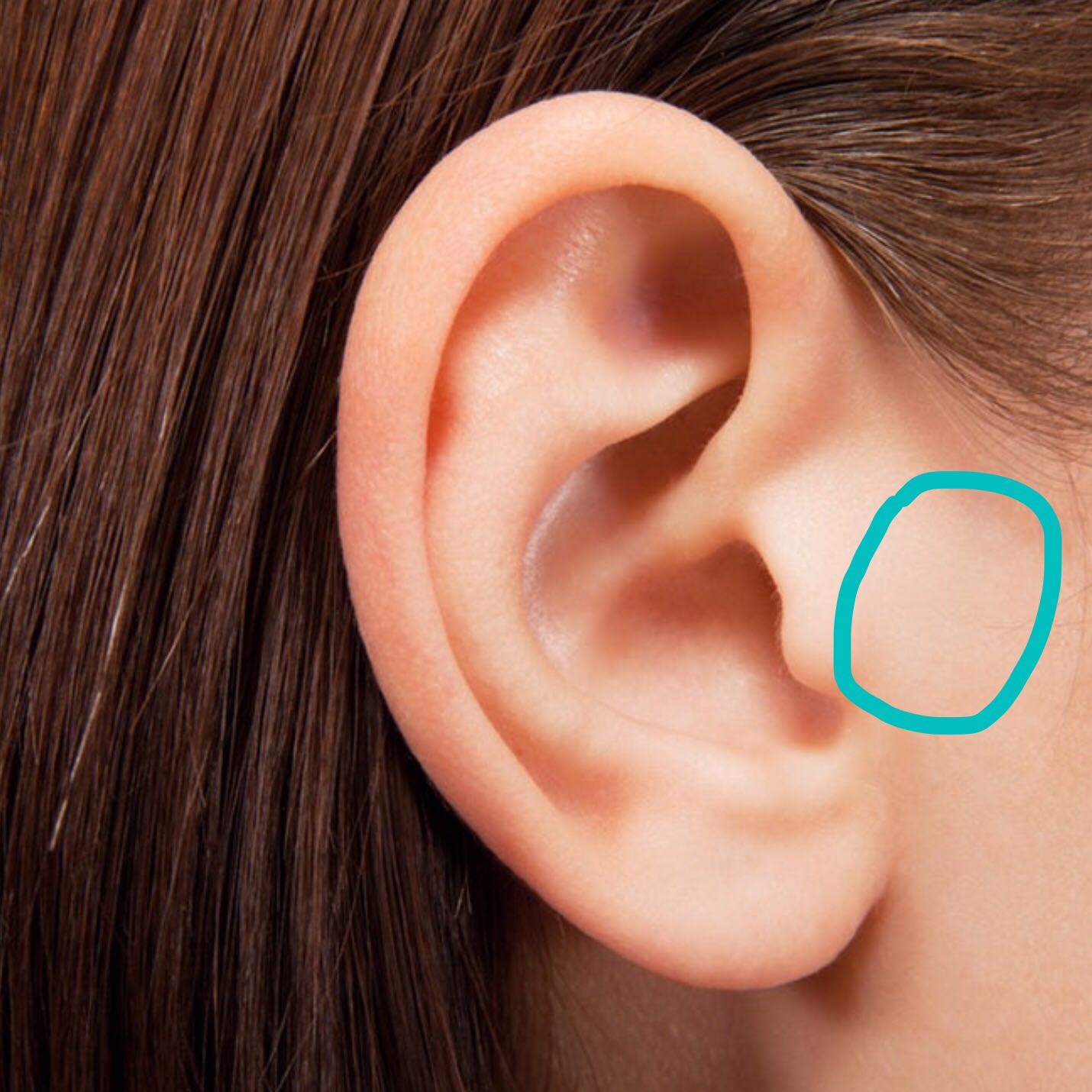 Schmerzender Knubbel Neben Dem Ohr Gesundheit Und Medizin Gesundheit Schmerzen