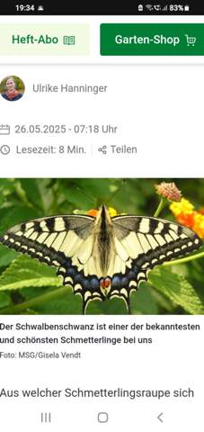 Bild zum Beitrag
