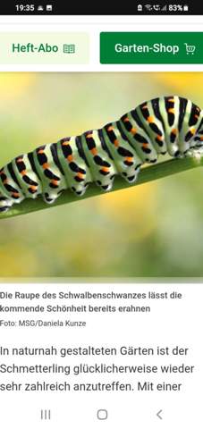 Bild zum Beitrag