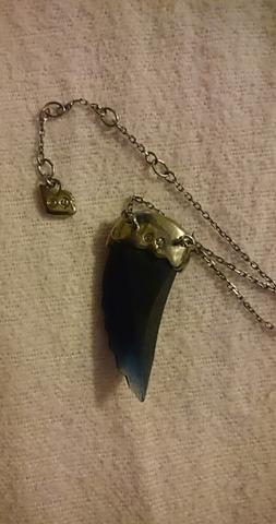 Schmuck Swarovski Schwan Echt Und Wert Kette