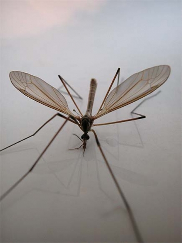 Wie schnell ist mein internet Wie schnell ist mein internet