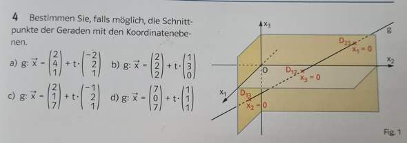 Schnittpunkte der Geraden mit den Koordinatenebenen berechnen? (ebenen