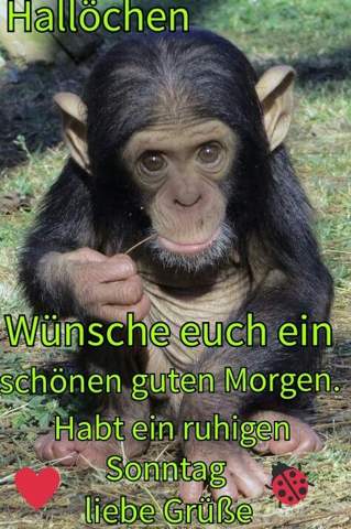 Bild zu Frage