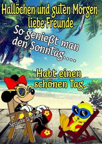 20 Lustige Bilder Mit Spruchen Zum Wochenende