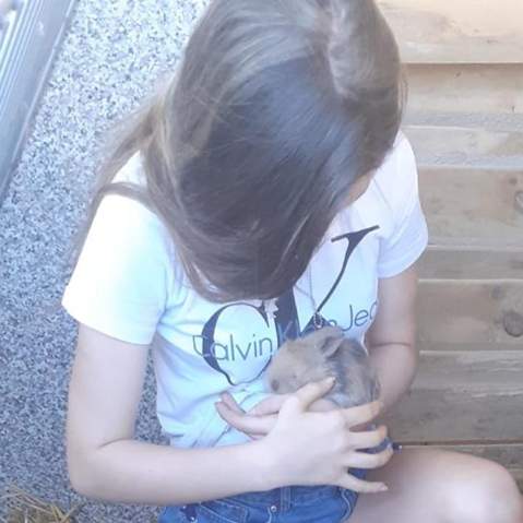 Schoner Kaninchenname Name Kaninchen Kaninchenbabys