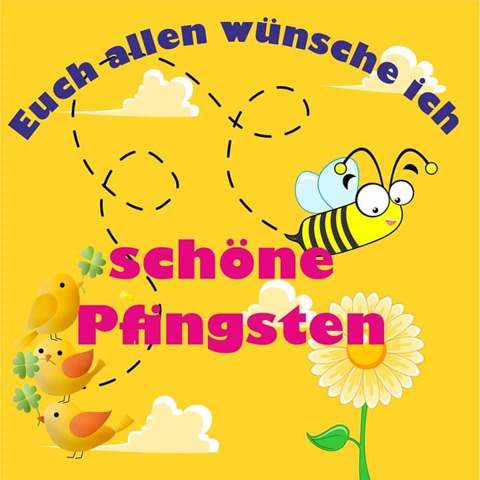 Bild zum Beitrag