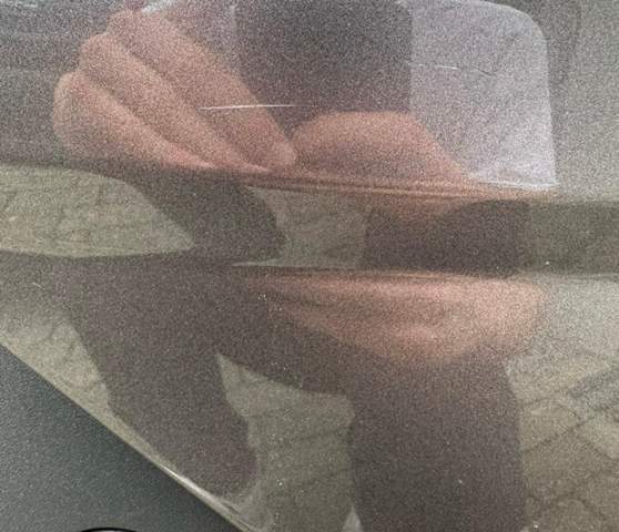 Bild zum Beitrag