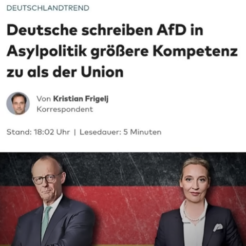 Bild zum Beitrag