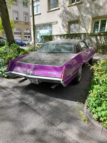 Bild zum Beitrag