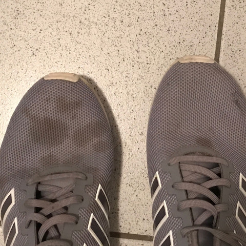 Sportschuhe - (Schuhe, reinigen, Wachs)