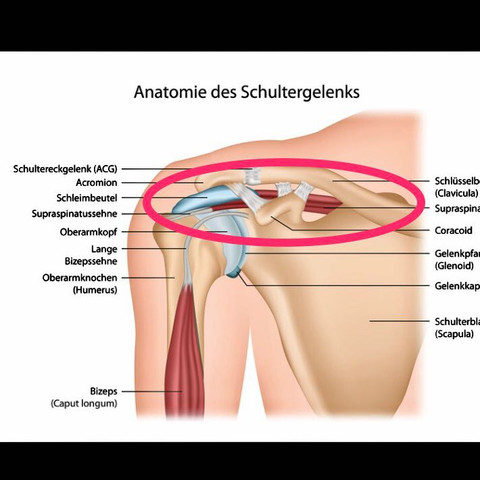 Schulterschmerzen Was Konnte Es Sein Korper Arzt Schmerzen Schulterschmerzen Was Konnte Es Sein Korper Arzt Schmerzen
