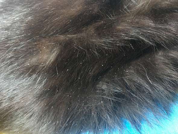 Schuppen Bei Meinem Kater Katze