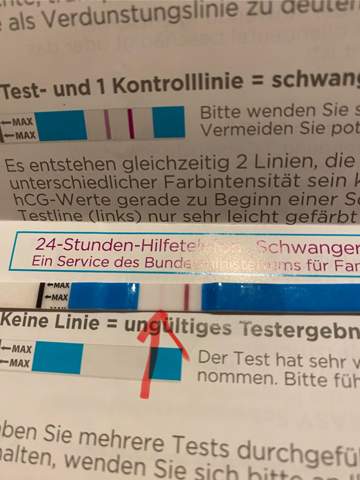 Bild zum Beitrag